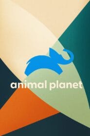 Animal Planet