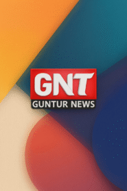 GNT TV