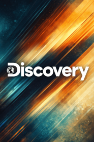 Discovery